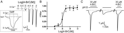 Fig. 5.