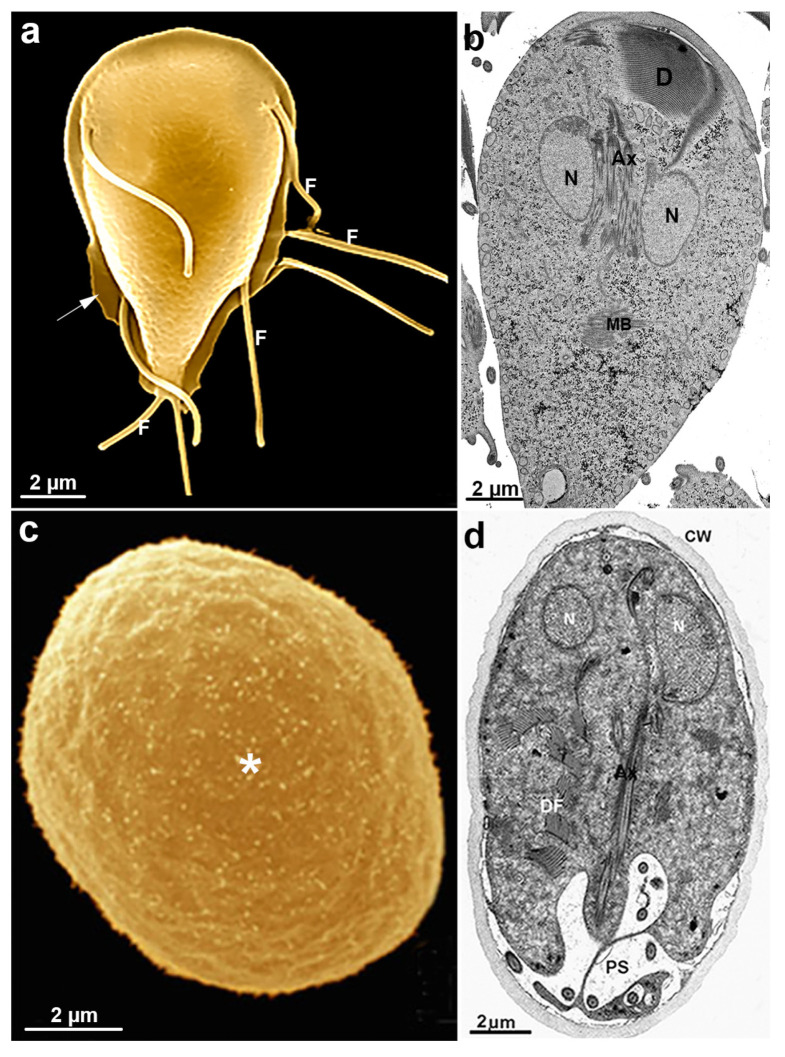 Figure 11