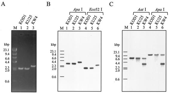 FIG. 5.