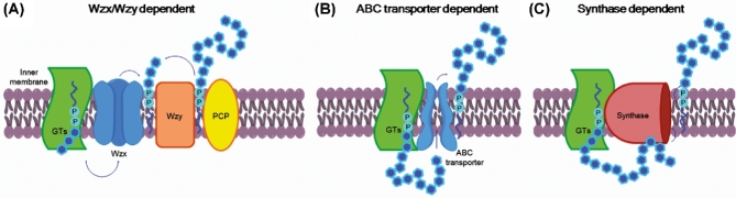 Figure 2.