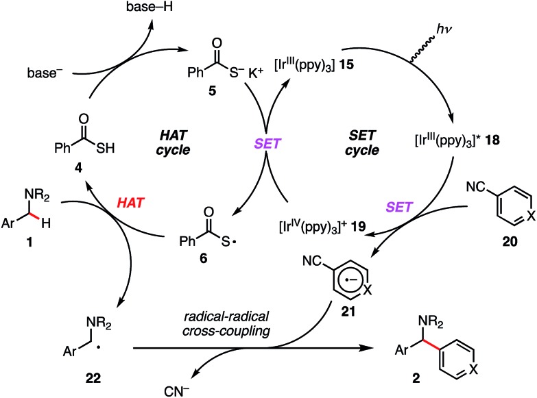 Scheme 6