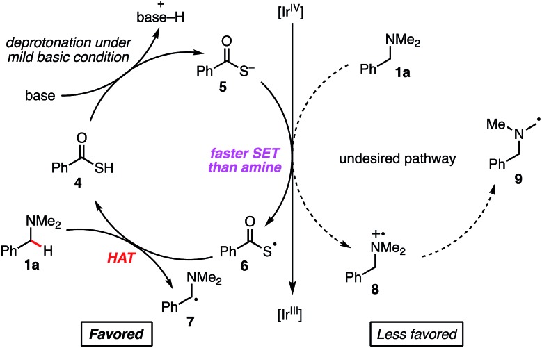 Scheme 3