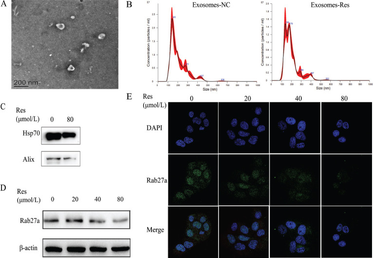 Fig. (1)