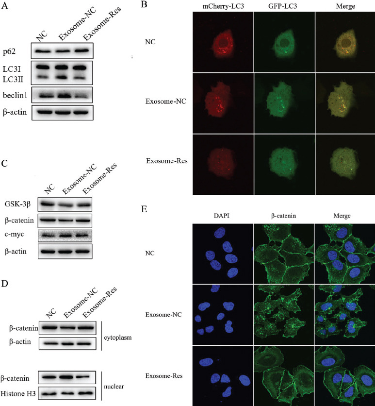 Fig. (5)