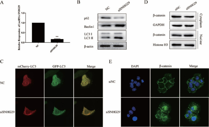 Fig. (6)