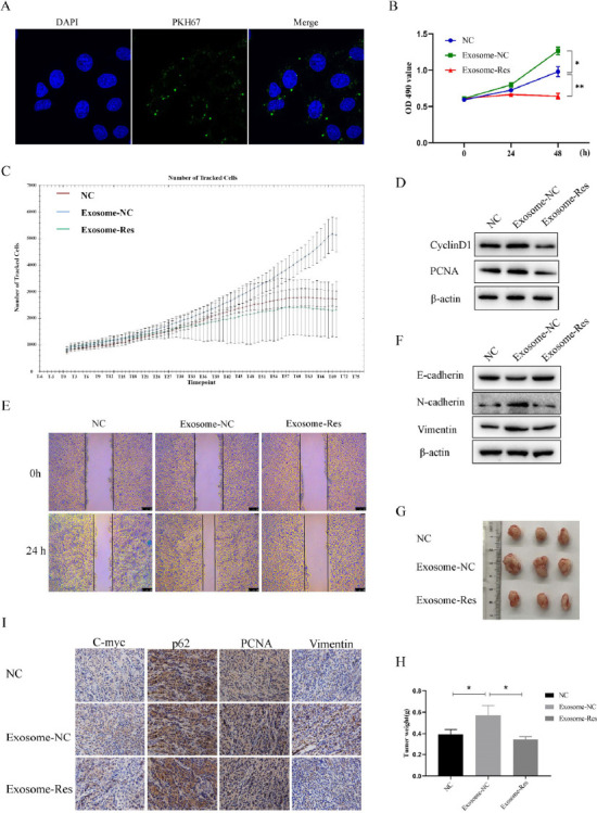 Fig. (4)