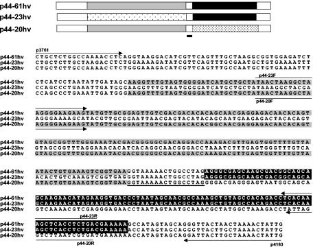 FIG. 3.