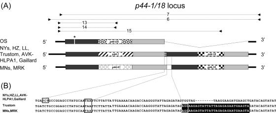 FIG. 2.