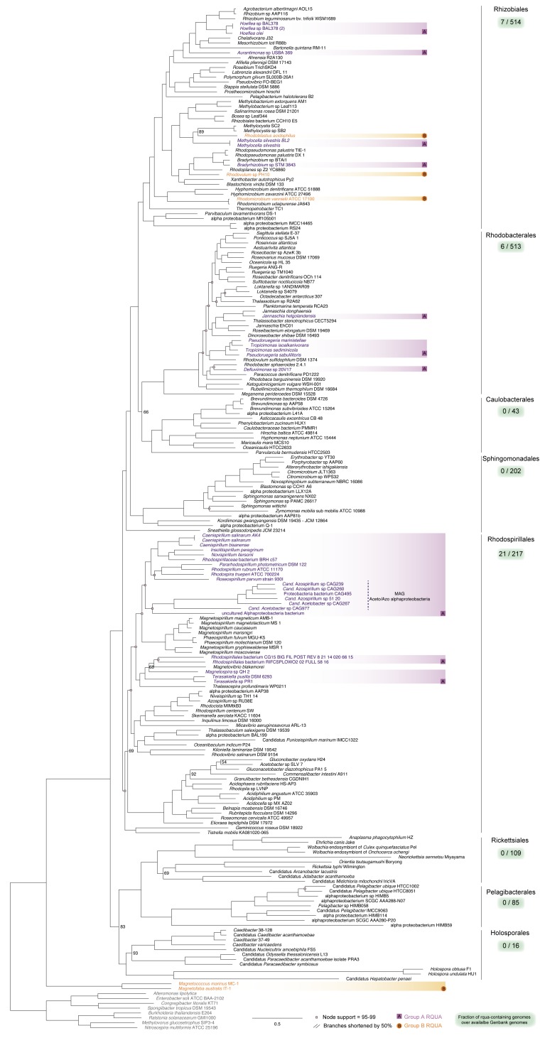 Figure 2—figure supplement 1.