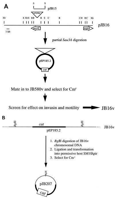 FIG. 3