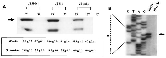 FIG. 1