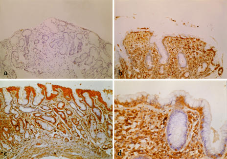 Fig 2.