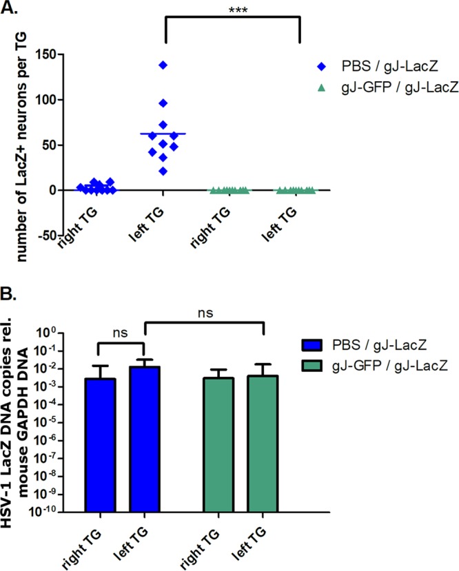 FIG 3