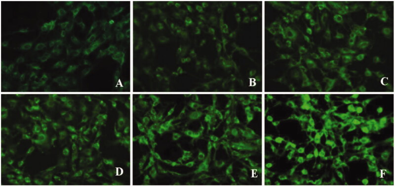 Figure 12.