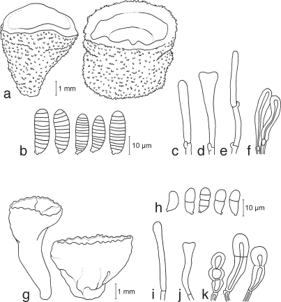 Fig. 13