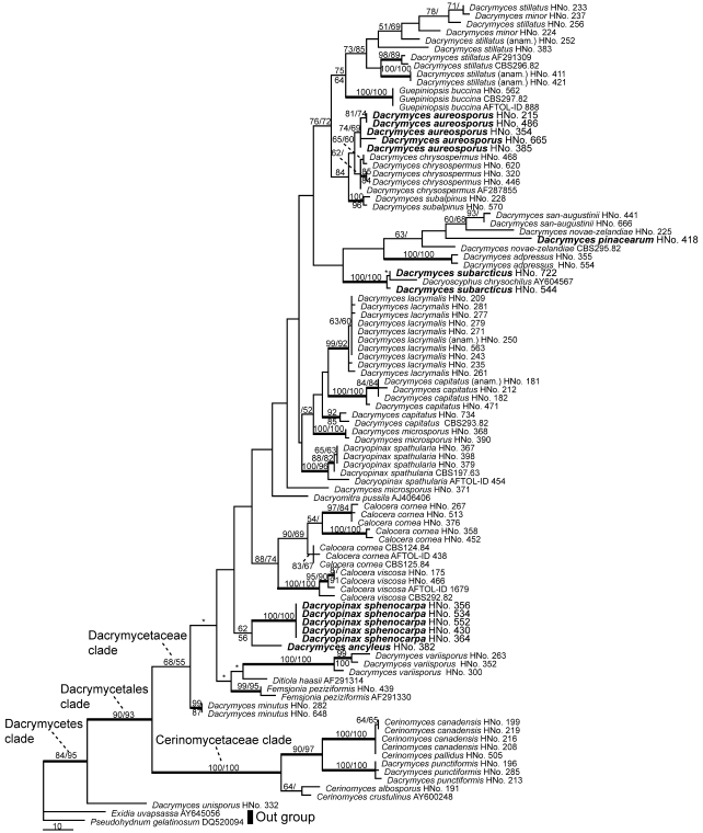 Fig. 16