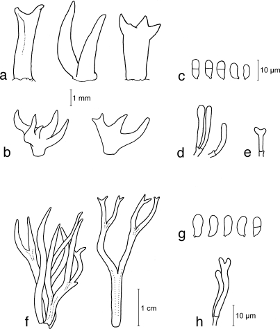 Fig. 2