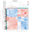Supplementary Fig. S2