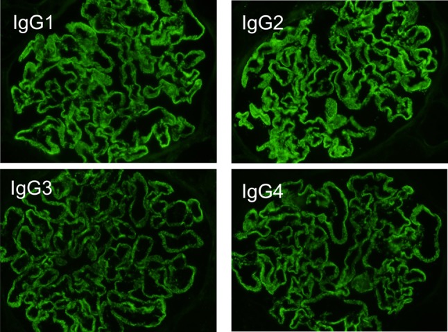 Fig. 4