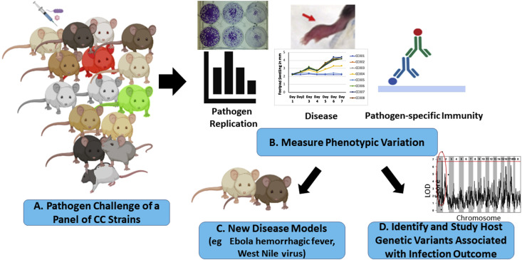 Figure 2