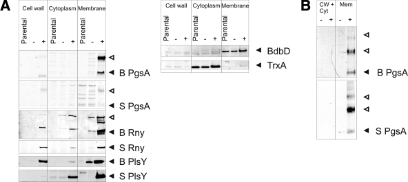 FIG. 5.