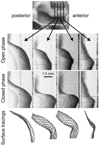 Fig. 5