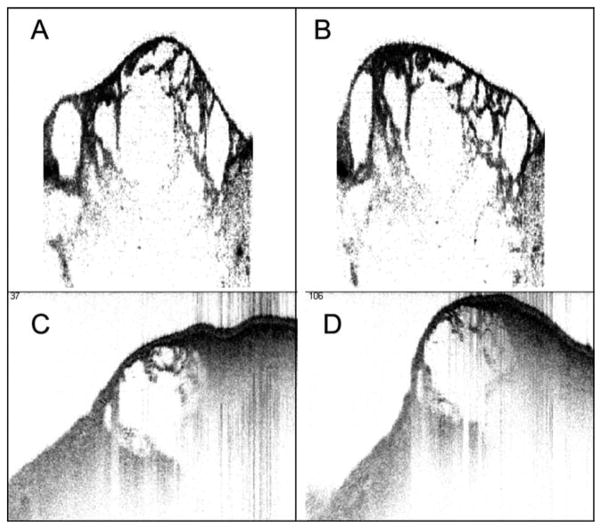 Fig. 8