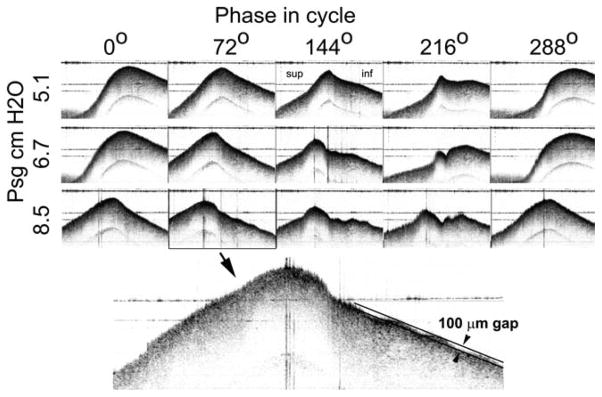 Fig. 7