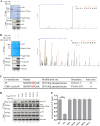 FIG 6