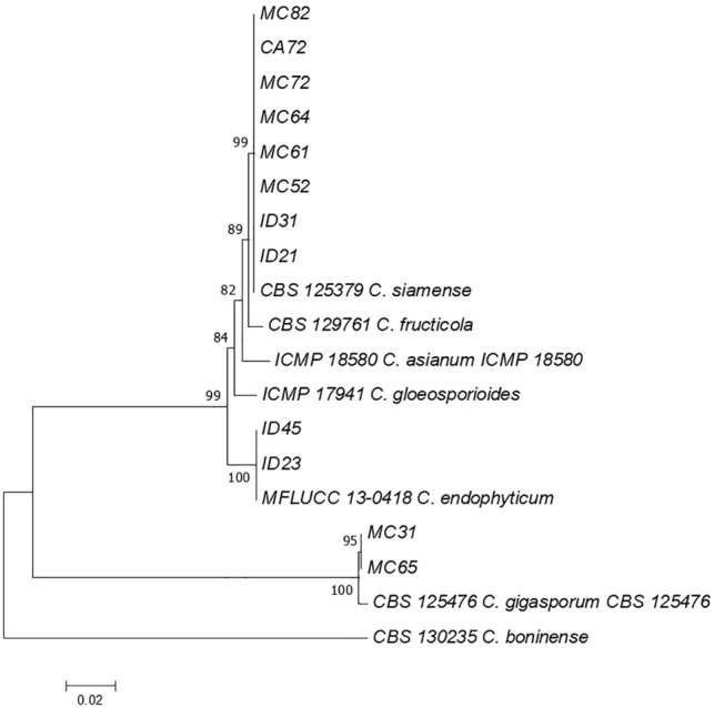 Figure 2