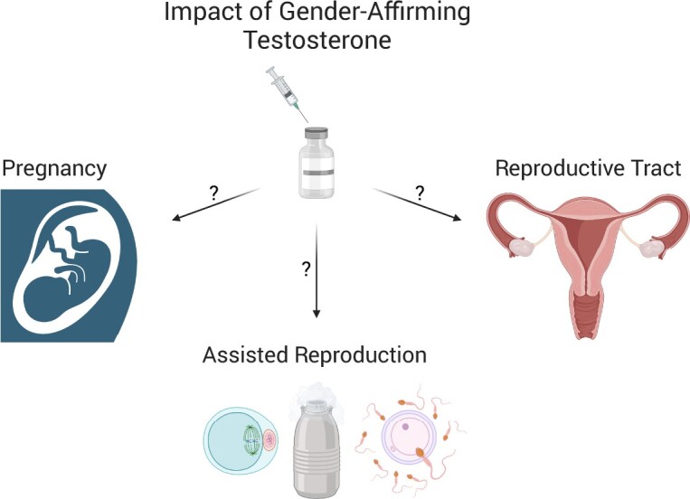 Graphical Abstract