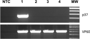 Fig. 5: