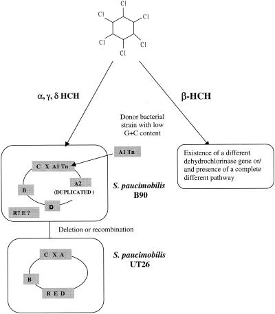 FIG. 6.