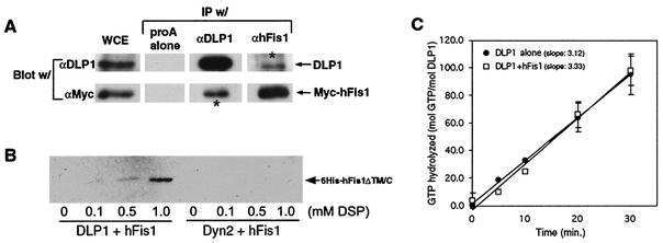 FIG. 9.