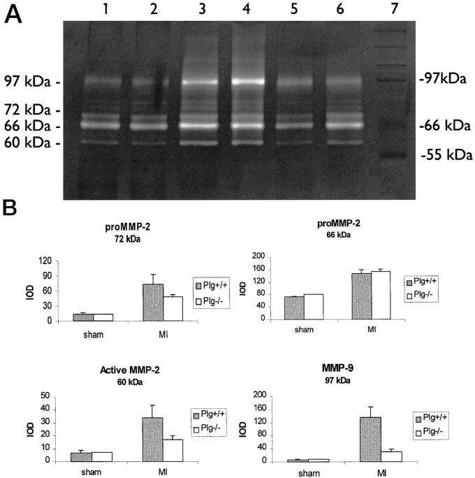 Figure 7.