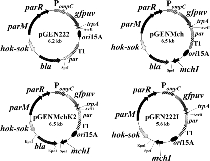 FIG. 1.