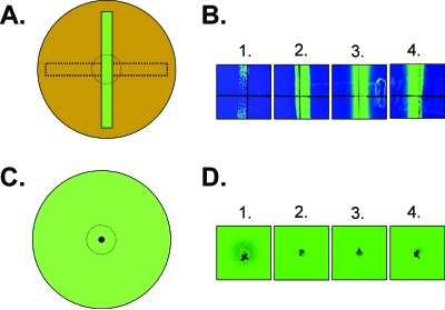 FIG. 2.