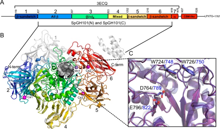 FIGURE 1.