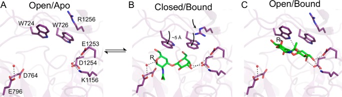 FIGURE 4.