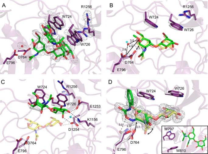 FIGURE 3.