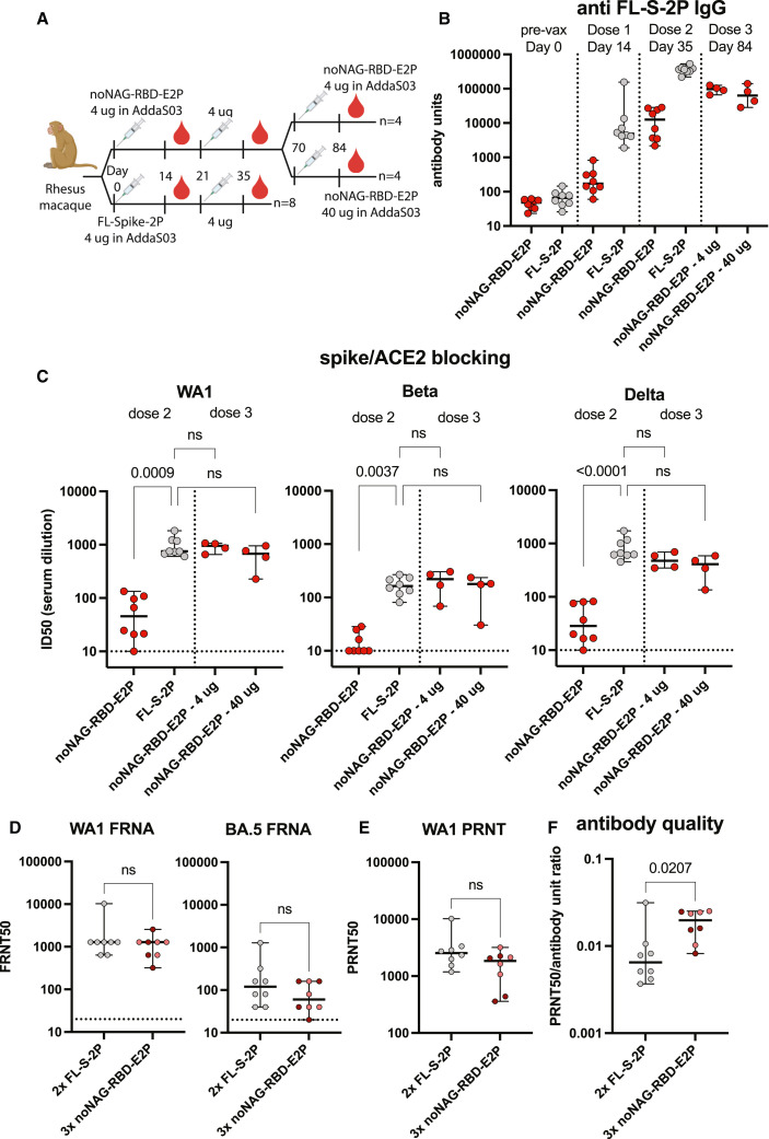 Figure 4