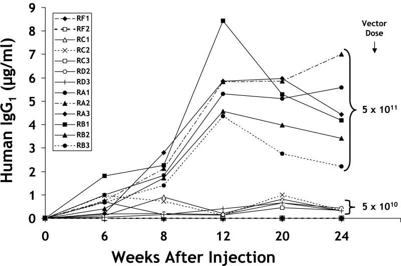 FIG. 2.