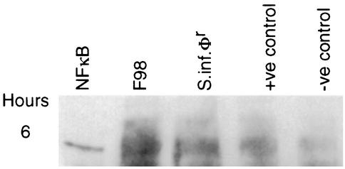 FIG. 8.