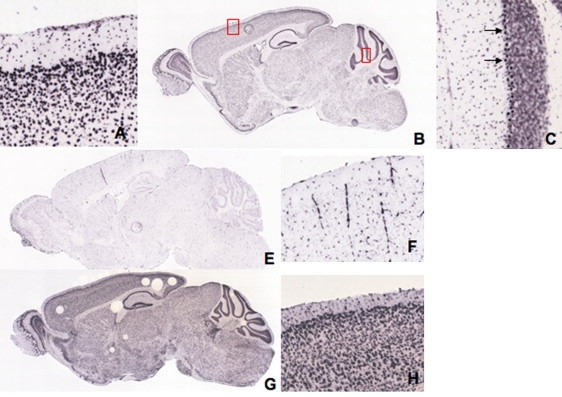 Figure 7