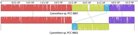 FIG 3 