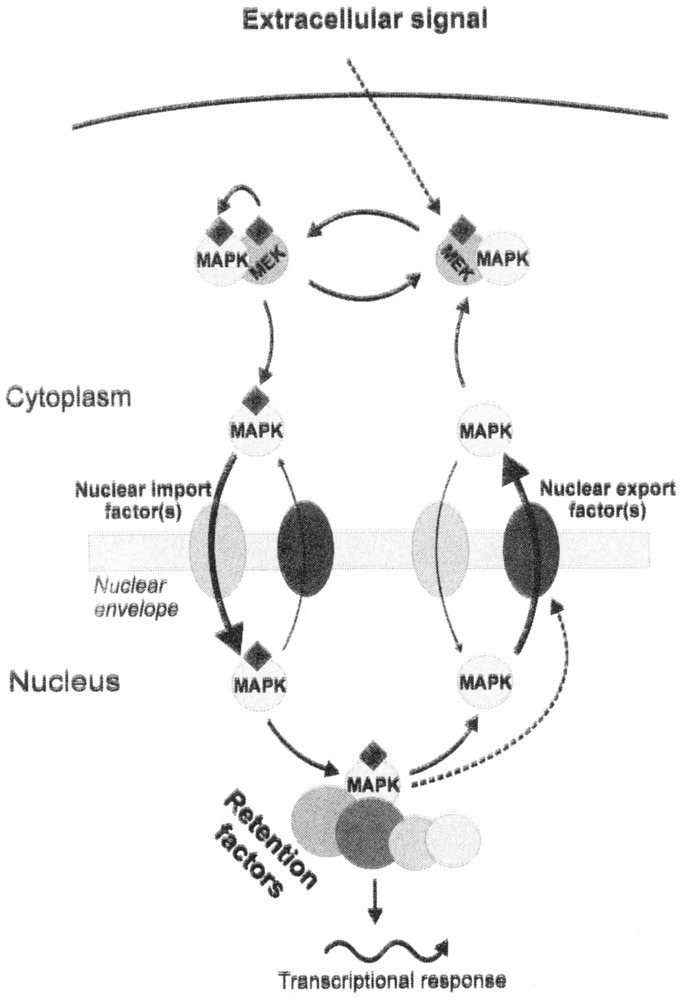 FIG. 1