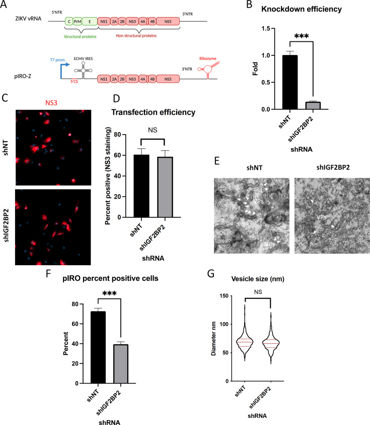 Figure 10.