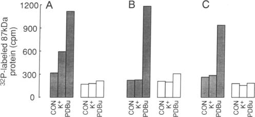 graphic file with name pnas00247-0141-b.jpg