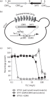 Figure 2.