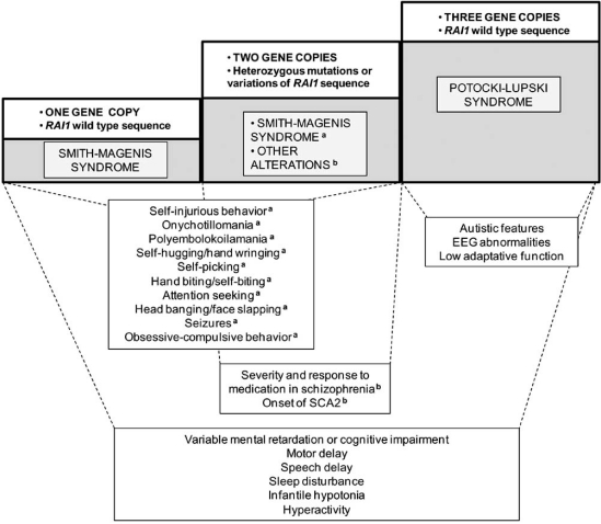 Fig. (2)